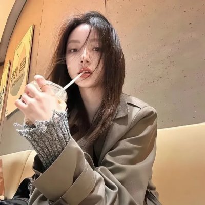 飞行员呆呆鸟