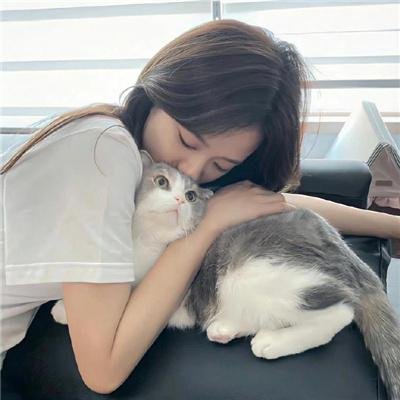 情谜郁金香